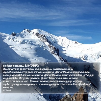 எண்ணாகமம் 8:19 TAMIRV Bible Verse Image