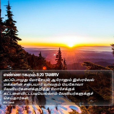 எண்ணாகமம் 8:20 TAMIRV Bible Verse Image