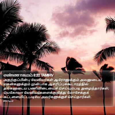 எண்ணாகமம் 8:22 TAMIRV Bible Verse Image