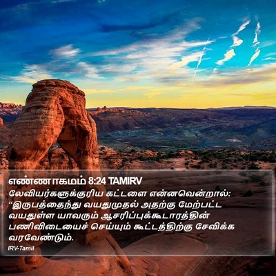 எண்ணாகமம் 8:24 TAMIRV Bible Verse Image
