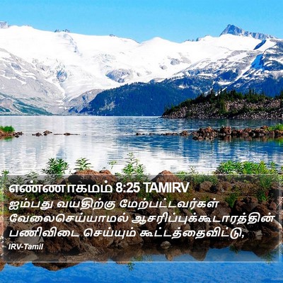 எண்ணாகமம் 8:25 TAMIRV Bible Verse Image