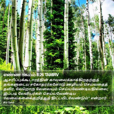 எண்ணாகமம் 8:26 TAMIRV Bible Verse Image