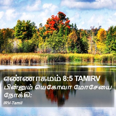 எண்ணாகமம் 8:5 TAMIRV Bible Verse Image