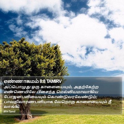 எண்ணாகமம் 8:8 TAMIRV Bible Verse Image