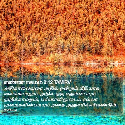 எண்ணாகமம் 9:12 TAMIRV Bible Verse Image