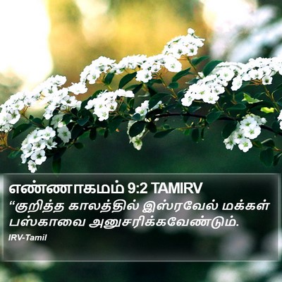 எண்ணாகமம் 9:2 TAMIRV Bible Verse Image