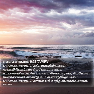 எண்ணாகமம் 9:23 TAMIRV Bible Verse Image