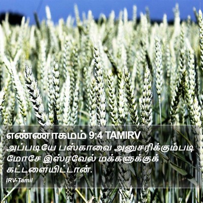 எண்ணாகமம் 9:4 TAMIRV Bible Verse Image