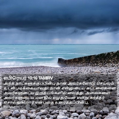 எபிரெயர் 10:16 TAMIRV Bible Verse Image