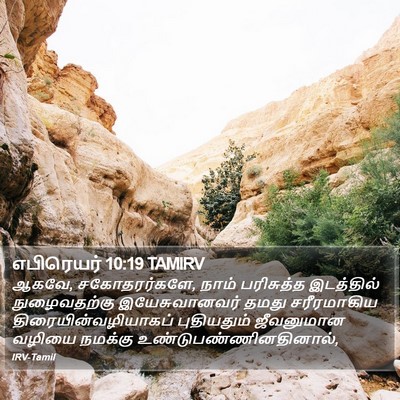எபிரெயர் 10:19 TAMIRV Bible Verse Image