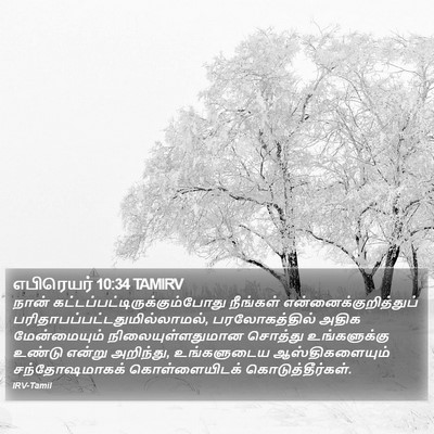 எபிரெயர் 10:34 TAMIRV Bible Verse Image