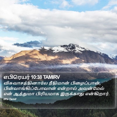 எபிரெயர் 10:38 TAMIRV Bible Verse Image