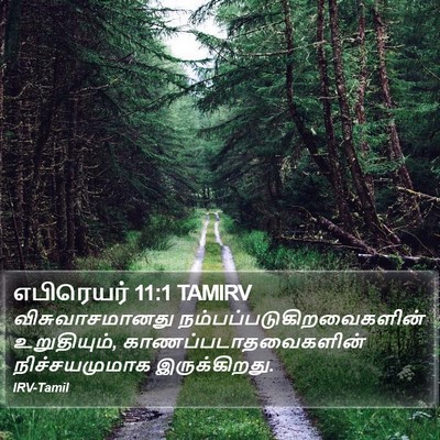 எபிரெயர் 11:1 TAMIRV Bible Verse Image