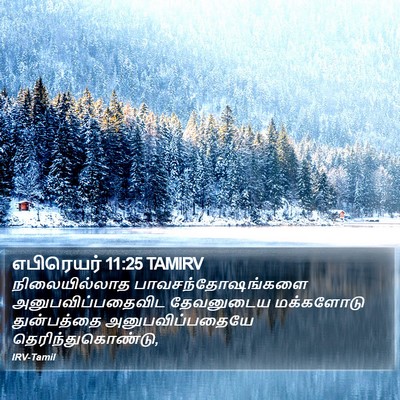 எபிரெயர் 11:25 TAMIRV Bible Verse Image