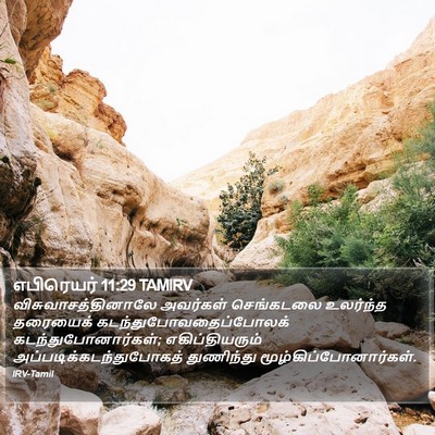 எபிரெயர் 11:29 TAMIRV Bible Verse Image
