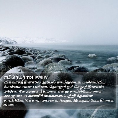 எபிரெயர் 11:4 TAMIRV Bible Verse Image