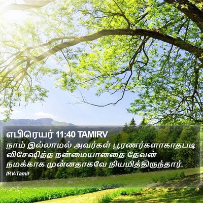 எபிரெயர் 11:40 TAMIRV Bible Verse Image