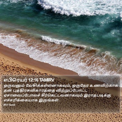 எபிரெயர் 12:16 TAMIRV Bible Verse Image