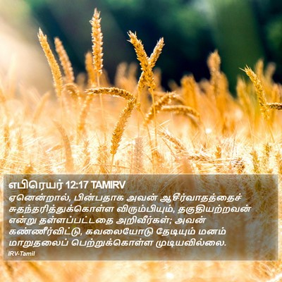எபிரெயர் 12:17 TAMIRV Bible Verse Image