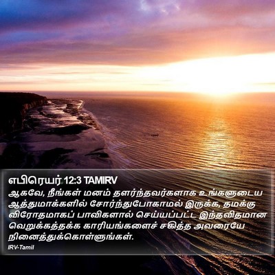 எபிரெயர் 12:3 TAMIRV Bible Verse Image
