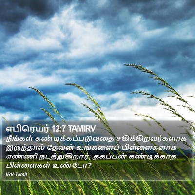 எபிரெயர் 12:7 TAMIRV Bible Verse Image