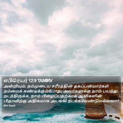 எபிரெயர் 12:9 TAMIRV Bible Verse Image