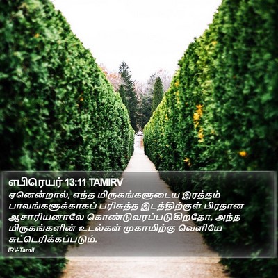 எபிரெயர் 13:11 TAMIRV Bible Verse Image