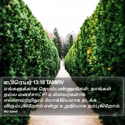எபிரெயர் 13:18 TAMIRV Bible Verse Image