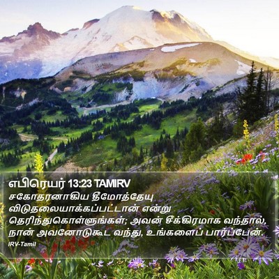 எபிரெயர் 13:23 TAMIRV Bible Verse Image