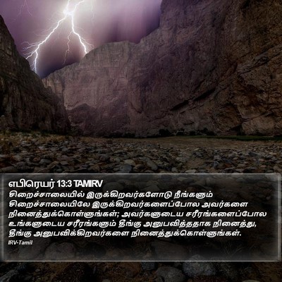 எபிரெயர் 13:3 TAMIRV Bible Verse Image