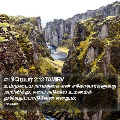 எபிரெயர் 2:12 TAMIRV Bible Verse Image