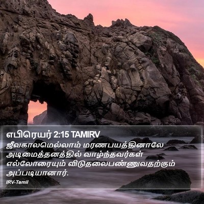 எபிரெயர் 2:15 TAMIRV Bible Verse Image