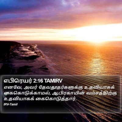 எபிரெயர் 2:16 TAMIRV Bible Verse Image