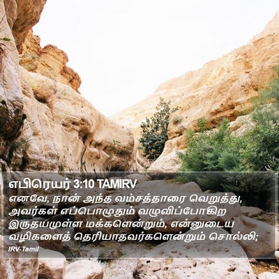 எபிரெயர் 3:10 TAMIRV Bible Verse Image