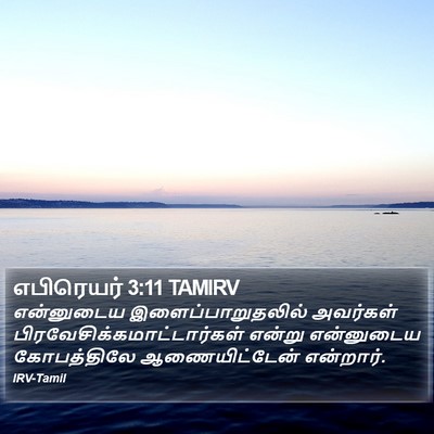எபிரெயர் 3:11 TAMIRV Bible Verse Image