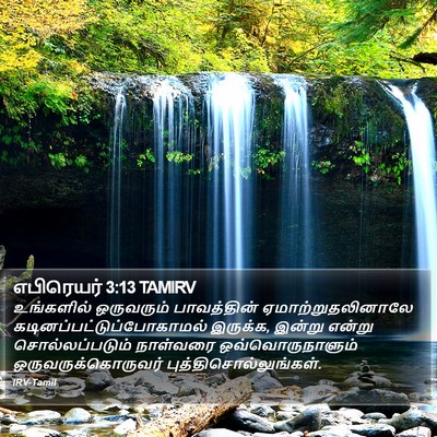 எபிரெயர் 3:13 TAMIRV Bible Verse Image