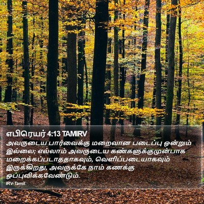 எபிரெயர் 4:13 TAMIRV Bible Verse Image