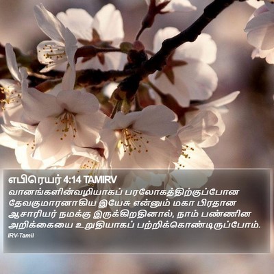எபிரெயர் 4:14 TAMIRV Bible Verse Image