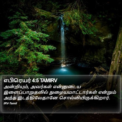 எபிரெயர் 4:5 TAMIRV Bible Verse Image