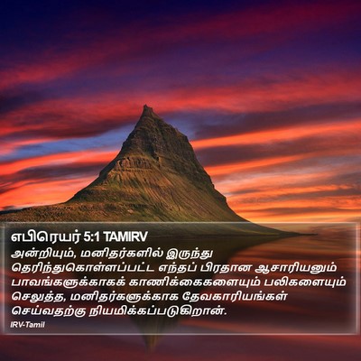 எபிரெயர் 5:1 TAMIRV Bible Verse Image