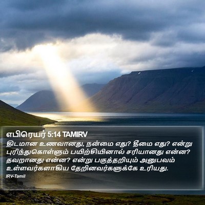 எபிரெயர் 5:14 TAMIRV Bible Verse Image