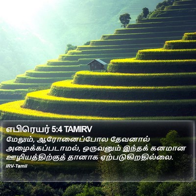 எபிரெயர் 5:4 TAMIRV Bible Verse Image