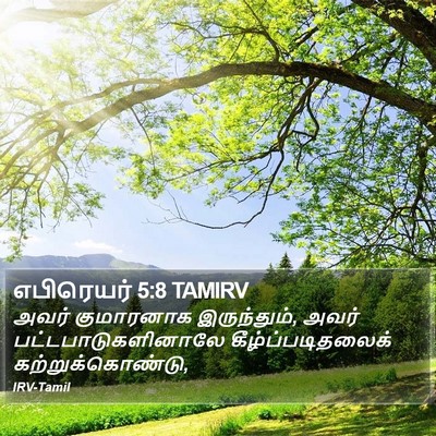 எபிரெயர் 5:8 TAMIRV Bible Verse Image