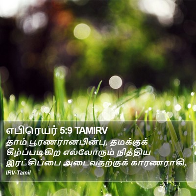 எபிரெயர் 5:9 TAMIRV Bible Verse Image