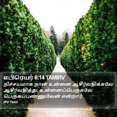 எபிரெயர் 6:14 TAMIRV Bible Verse Image
