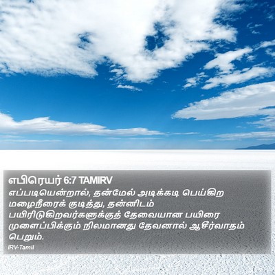 எபிரெயர் 6:7 TAMIRV Bible Verse Image