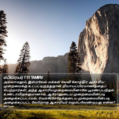 எபிரெயர் 7:11 TAMIRV Bible Verse Image