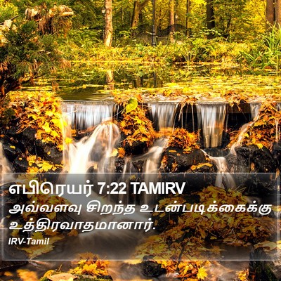 எபிரெயர் 7:22 TAMIRV Bible Verse Image