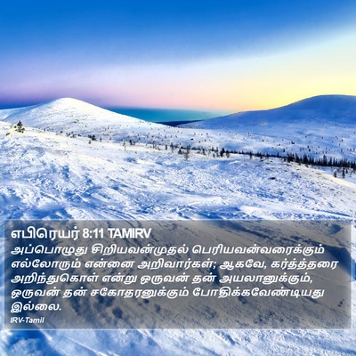 எபிரெயர் 8:11 TAMIRV Bible Verse Image