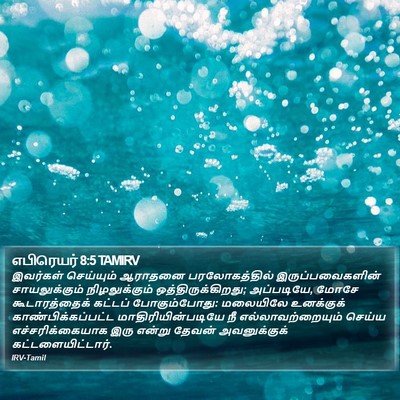 எபிரெயர் 8:5 TAMIRV Bible Verse Image